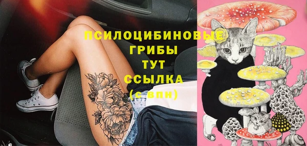 альфа пвп Тайга